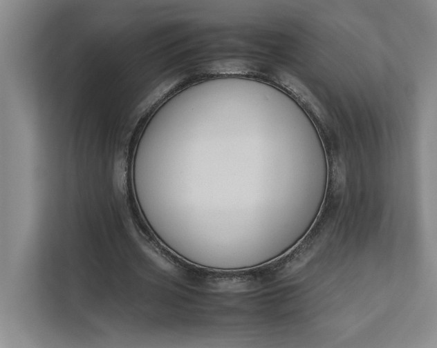 X0000111880533200908061316