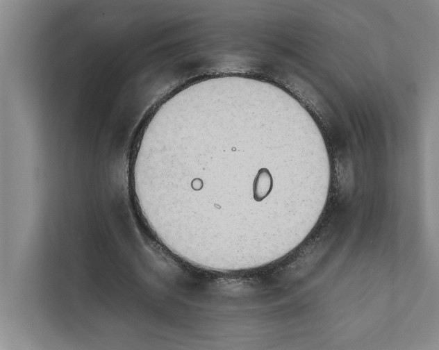 X0000111880534200908061316