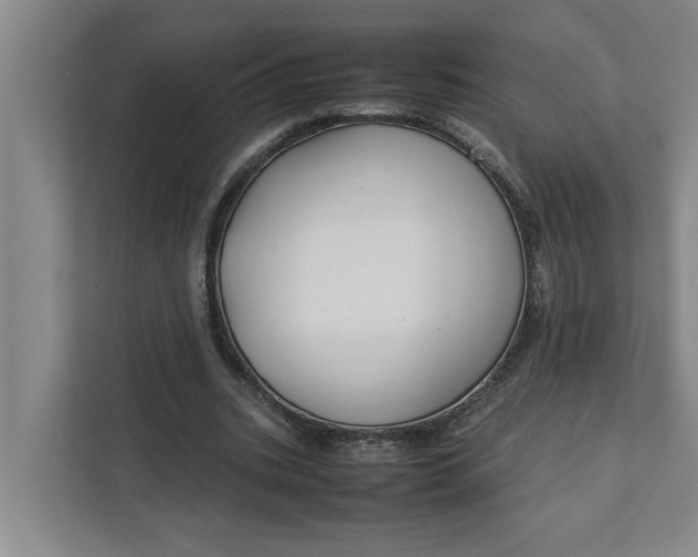 X0000111880535200908061316