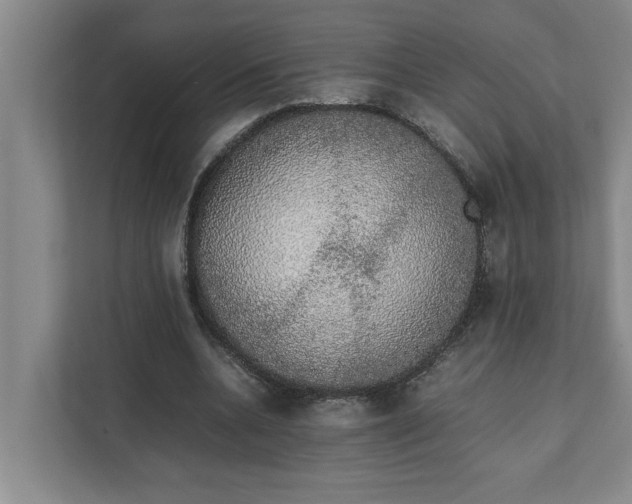 X0000111880536200908061316