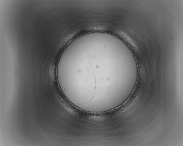 X0000111880537200908061316