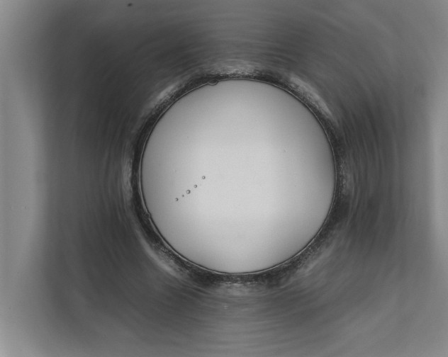 X0000111880538200908061316