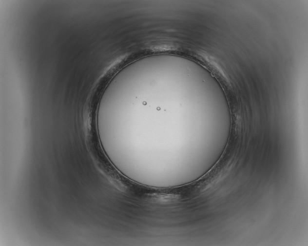 X0000111880539200908061316