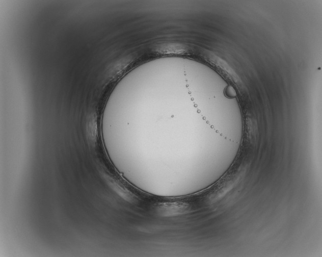 X0000111880541200908061316