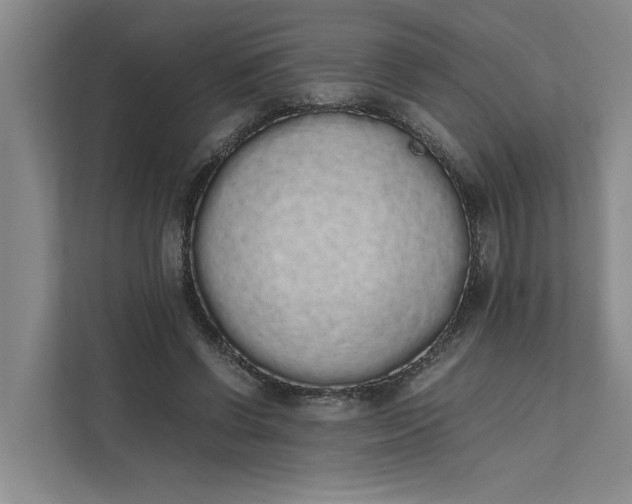 X0000111880542200908061316