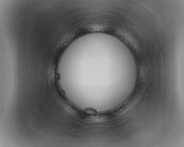 X0000111880545200908061316