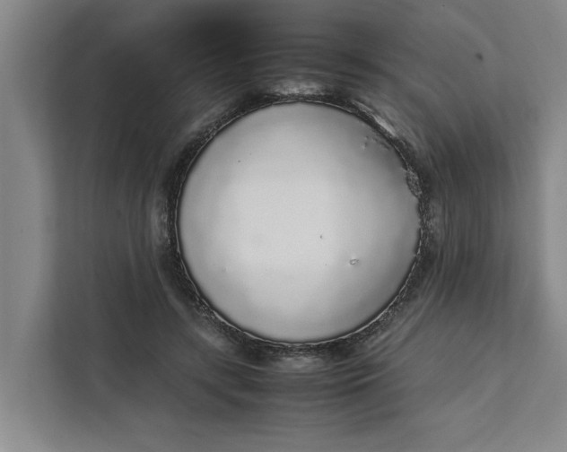 X0000111880547200908061316