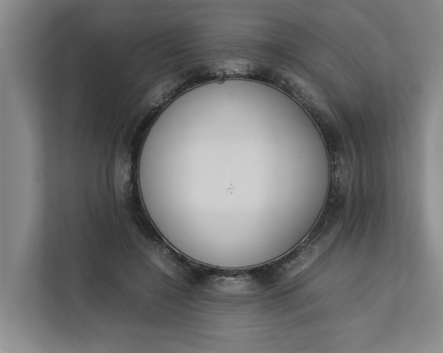 X0000111880548200908061316