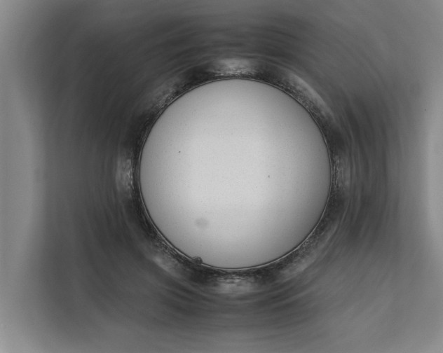 X0000111880549200908061316