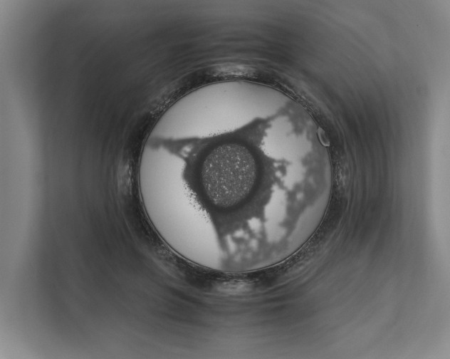 X0000111880551200908061316