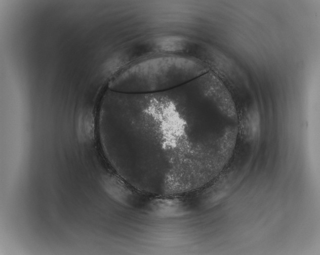 X0000111880552200908061316