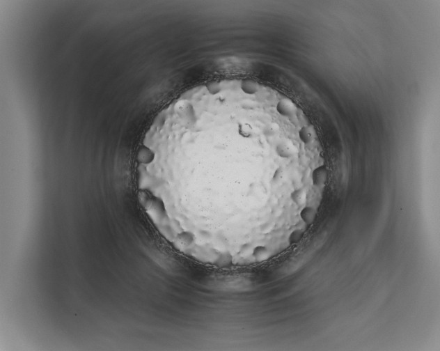 X0000111880553200908061316