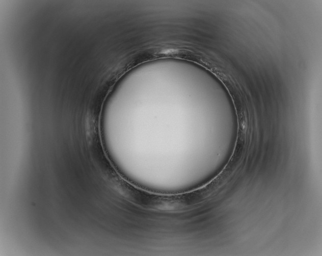 X0000111880555200908061316