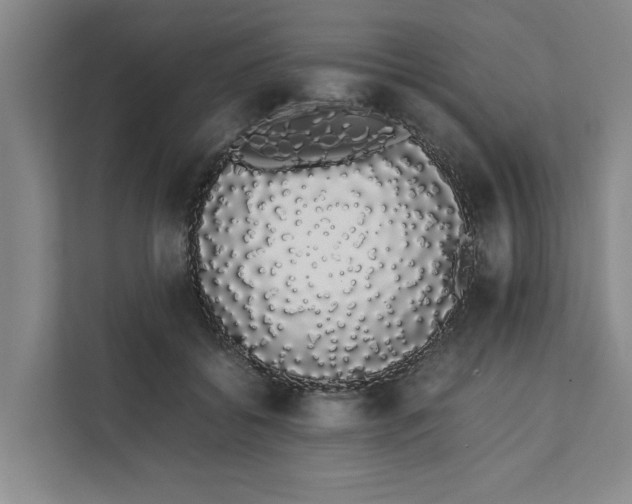 X0000111880556200908061316