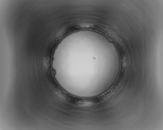 X0000111880559200908061316