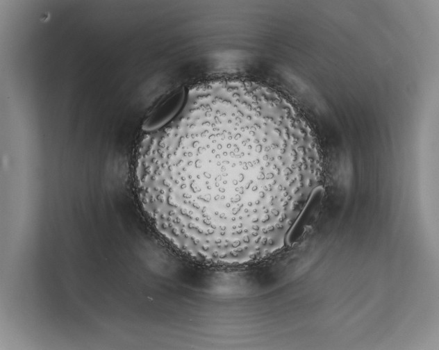 X0000111880560200908061316