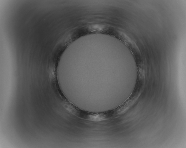 X0000111880561200908061316