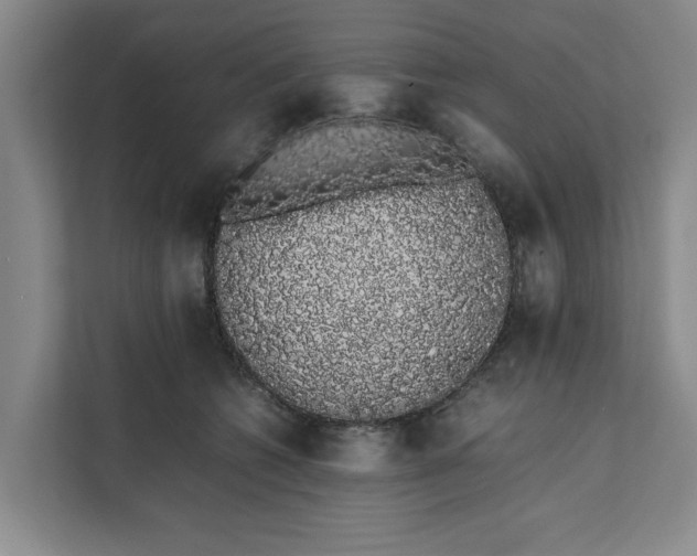 X0000111880562200908061316