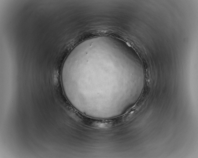 X0000111880563200908061316