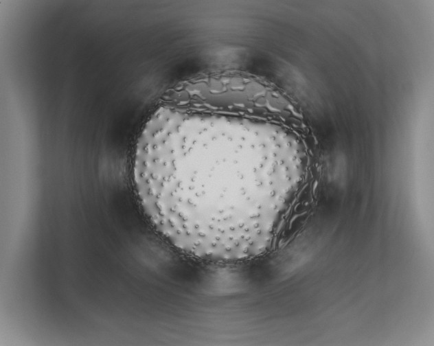 X0000111880564200908061316