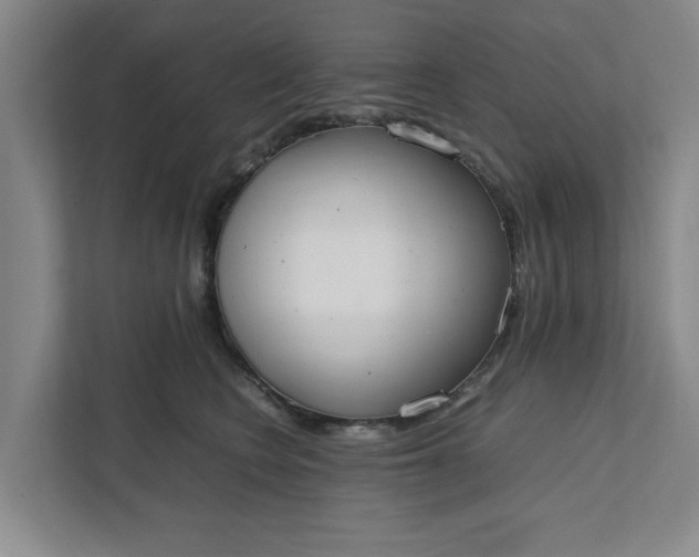 X0000111880566200908061316