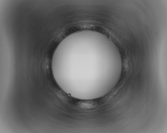 X0000111880567200908061316