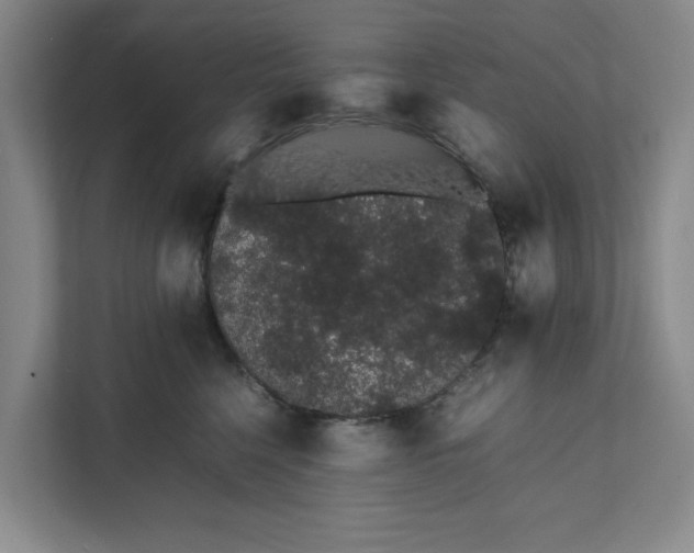 X0000111880568200908061316