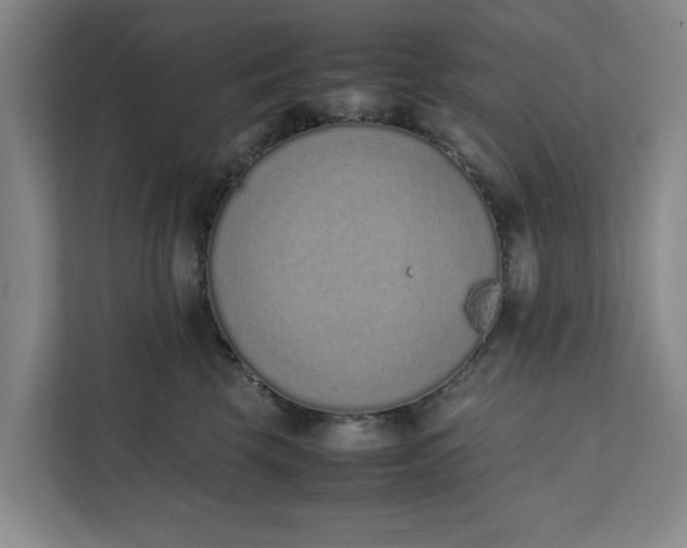 X0000111880569200908061316