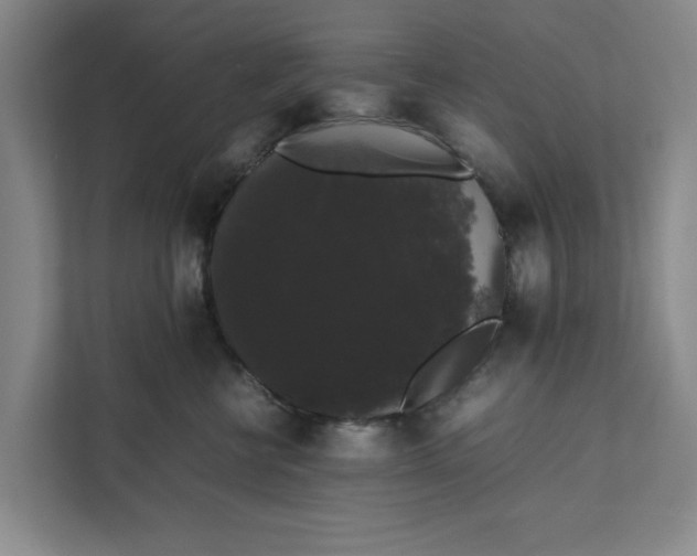 X0000111880570200908061316