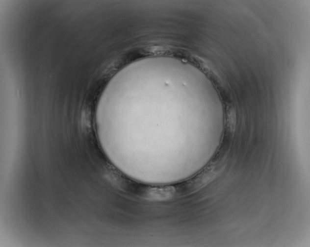 X0000111880571200908061316