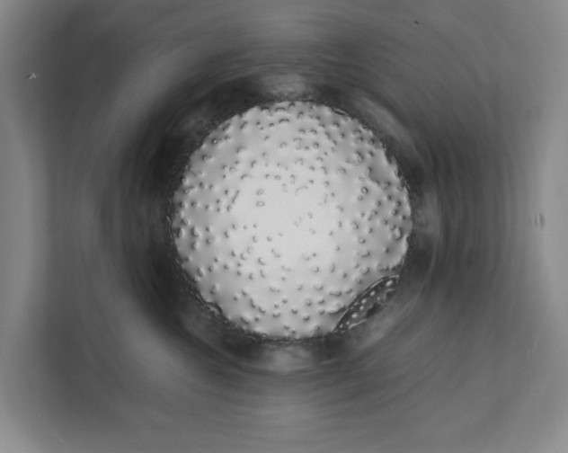 X0000111880572200908061316