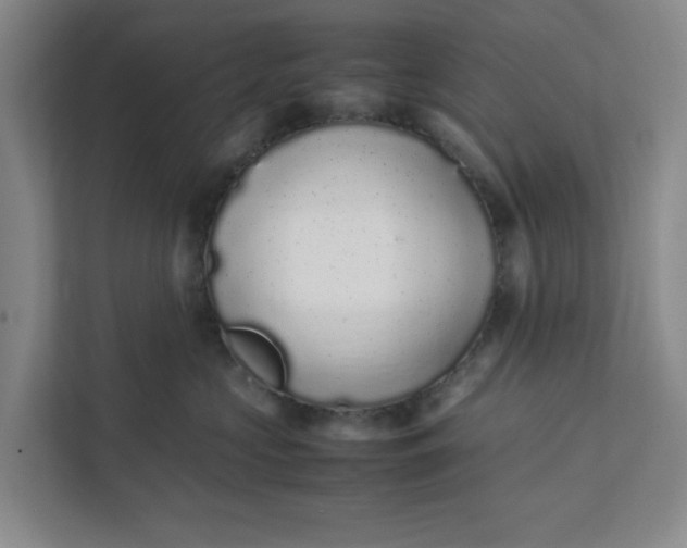 X0000111880573200908061316