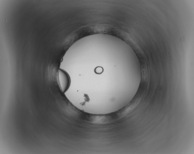 X0000111880575200908061316