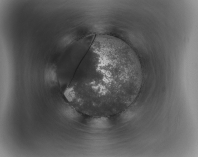 X0000111880576200908061316