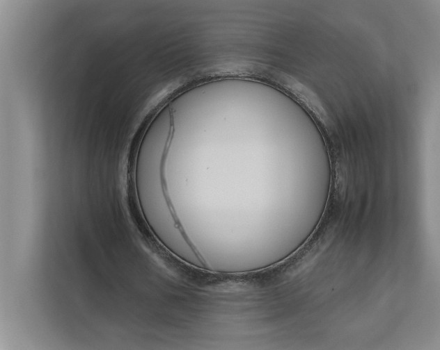 X0000111880578200908061316