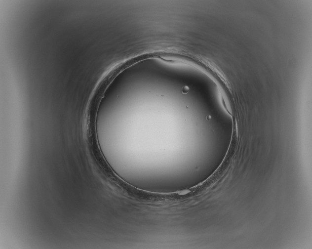 X0000111880579200908061316