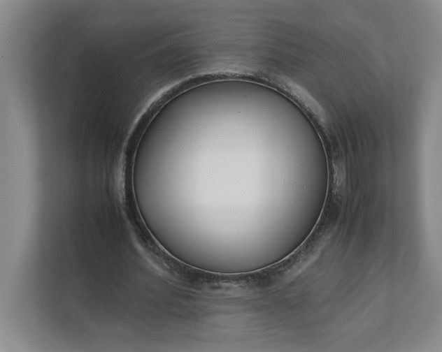 X0000111880580200908061316