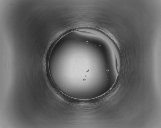 X0000111880581200908061316