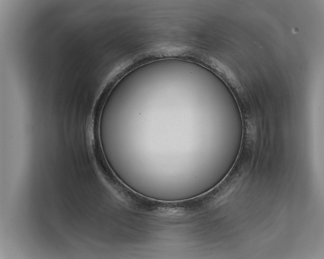 X0000111880582200908061316