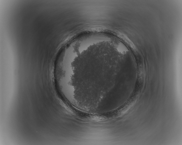 X0000111880585200908061315