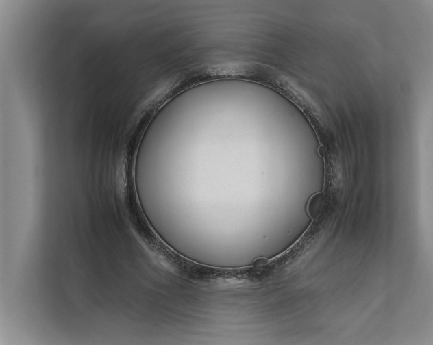 X0000111880586200908061315