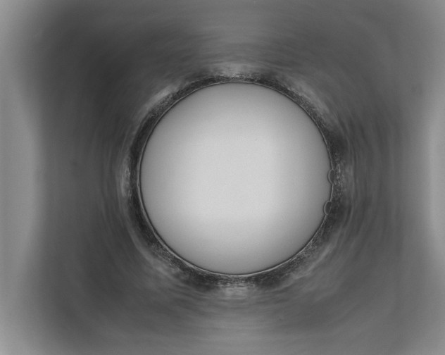 X0000111880587200908061315