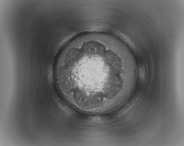 X0000111880588200908061315