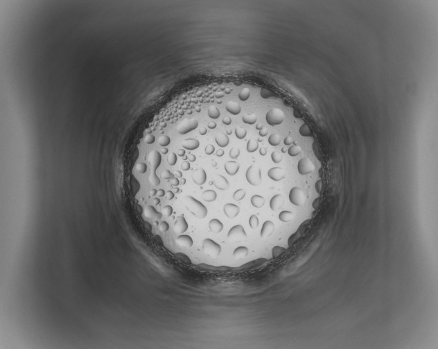 X0000111880589200908061315