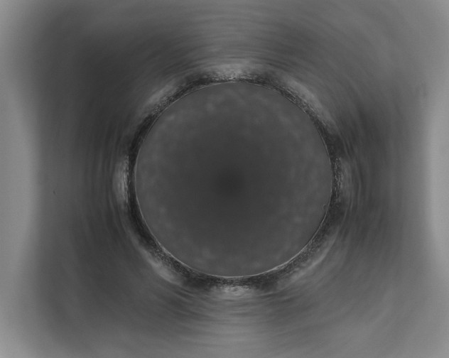 X0000111880590200908061315