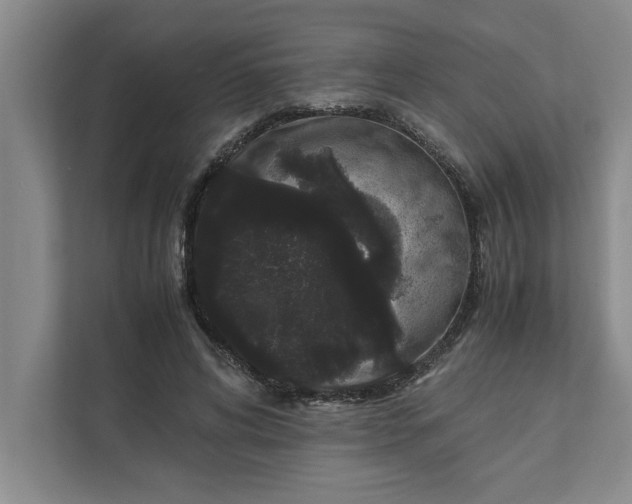 X0000111880592200908061315