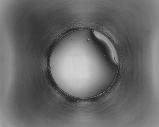 X0000111880593200908061315