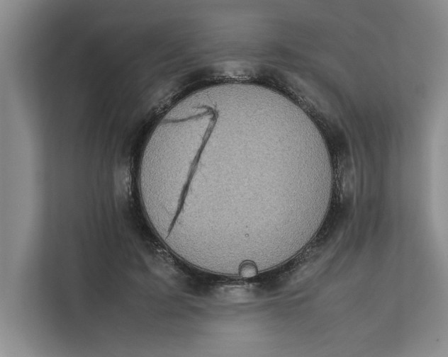 X0000111880595200908061315