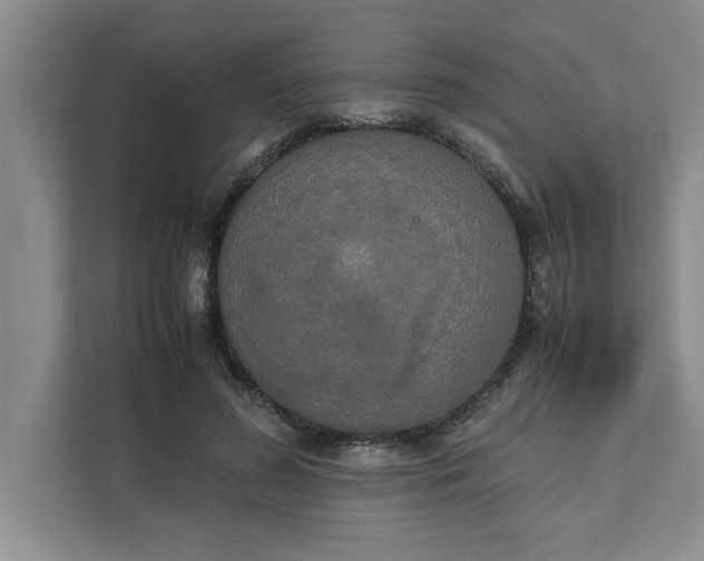 X0000111880596200908061315