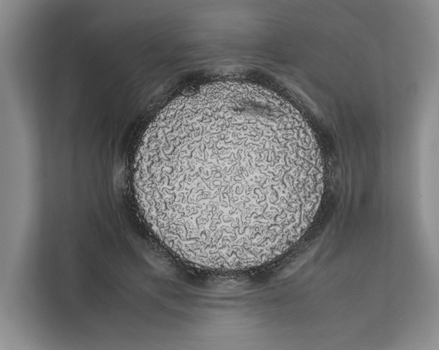 X0000111880597200908061315